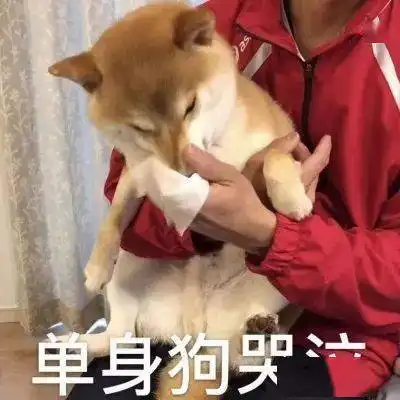 秋天的第一杯奶茶都不如拥有它来得幸福