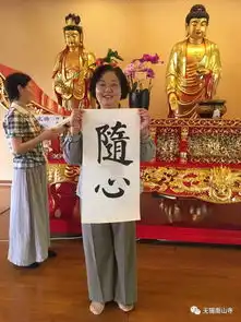 随心
