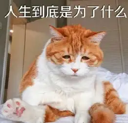 橘猫表情包大全橘猫表情包是哪只猫橘猫表情包出处