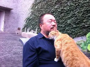 这几个成功的艺术家背后都有一个默默无闻的猫主子
