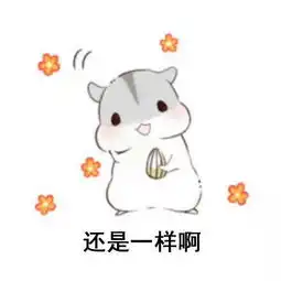 小可照片小可相册大全yy官方