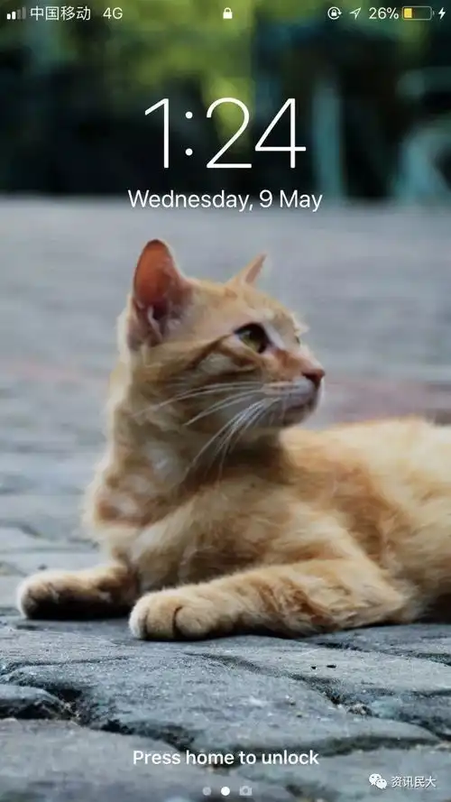 民大专属壁纸做我的猫,把你搂在怀里使坏