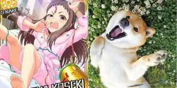 画不好表情,你可以养一只柴犬啊哈哈哈哈哈哈