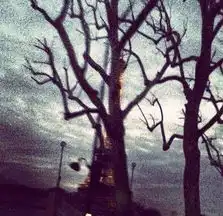 王菲巴黎街头大帽遮脸被评最近出勤率较高