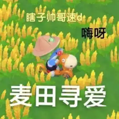 超火表情包没回消息就是在摩尔庄园