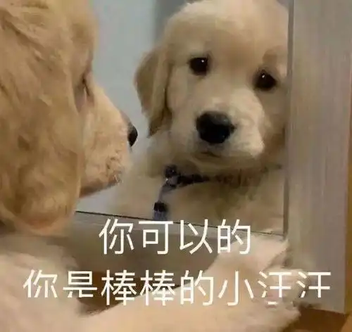 爱国教育之学劳模行规范