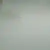 奋斗的球球的qq空间