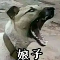 qq搞笑头像搞笑头像大全搞笑头像男生女生腾牛个性网