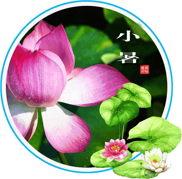 小暑早上好表情包动态图片,祝愿你小暑清凉多多,健康多多