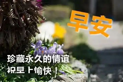 如果你的一生还有一次翻身的机会,就要用尽全力早安