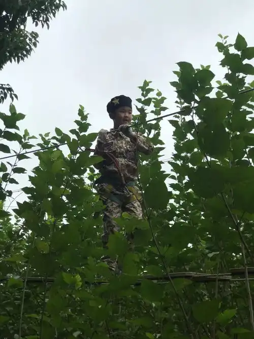 杭州周边亲子游基地推荐2018年