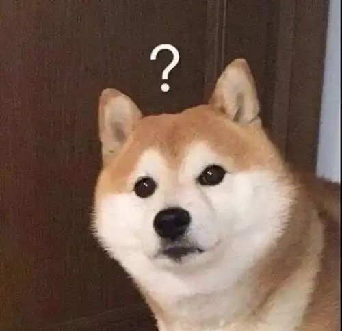 今日份表情包