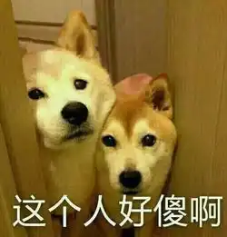 这篇游记叫做,去普吉岛千万不要跟团