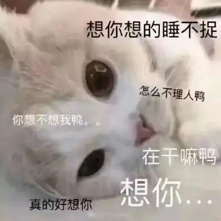 撩小哥哥表情包靓仔,我这个小可爱要了解一下吗