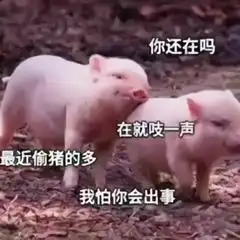 超级沙雕搞笑表情包我从未见过如此厚颜无耻之人,你敢勾引我