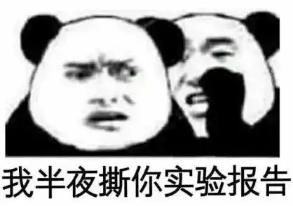 当年选专业时脑子进的水,如今都变成了表情包