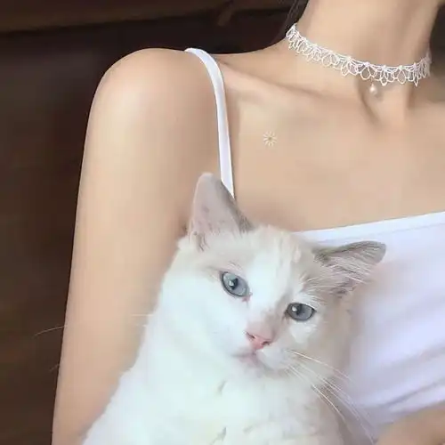 优质仙女女生头像
