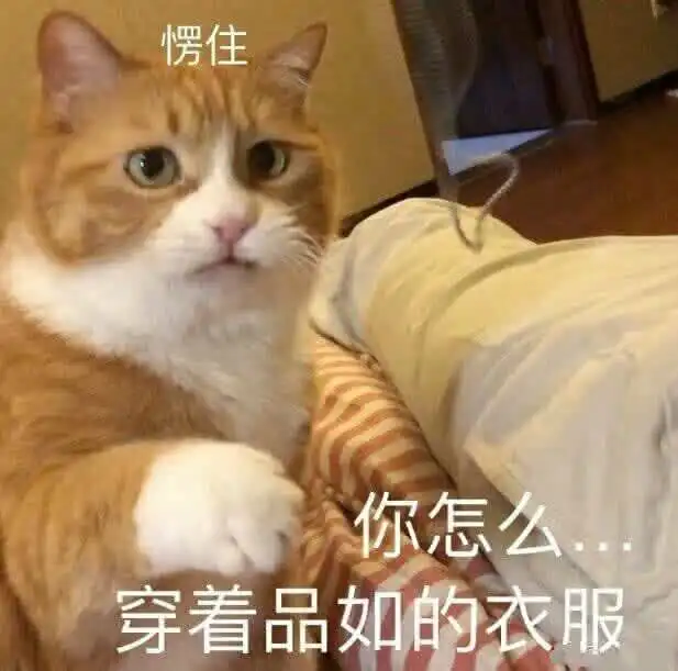 今日份的猫猫可爱表情包来啦