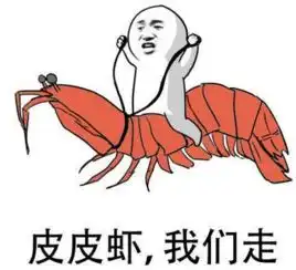 与你相遇走婚桥泸沽湖