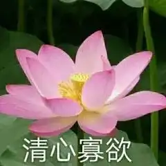 ts在季后赛何时会碰上ag各战队季后赛赛程分析