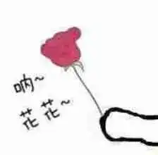 有一种缘分仅存四年,感谢...