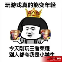 小学生下载王者荣耀什么梗小学生下载王者荣耀什么意思