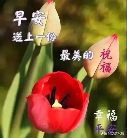 1月22日最新漂亮早上好祝福问候图片,暖心的早上好表情图片