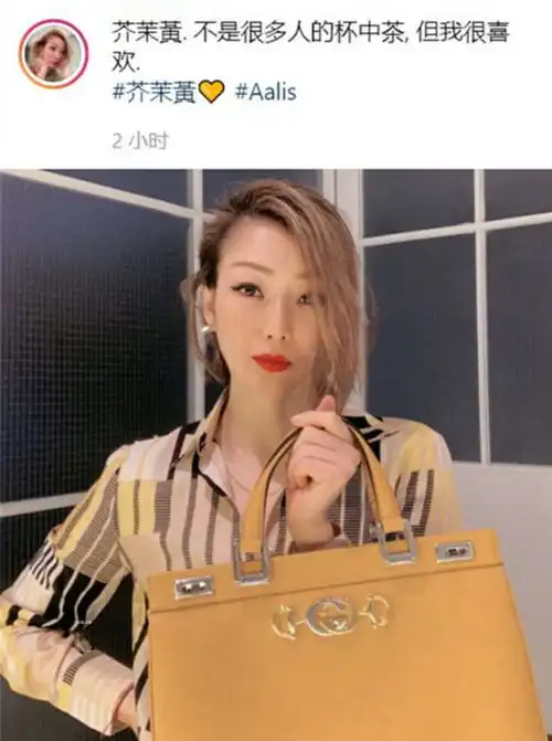 表情郑秀文深夜晒名牌包表情严肃,疑未走出安心事件靠买奢侈品发泄表情