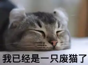 五四青年节,向深圳青年致敬