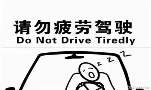 案例运牛车在高速路上侧翻,几十头牛坠桥身亡,司机崩溃