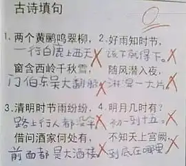 小学生考试得0分,老师气得吐血三碗快来看看卷子上都写了啥