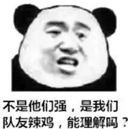 游戏互怼表情不是,他们是我队友很垃圾,你能明白吗