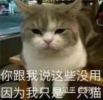 聊天时喜欢用可爱表情包的男生,是不是代表他经常和女生聊天呢