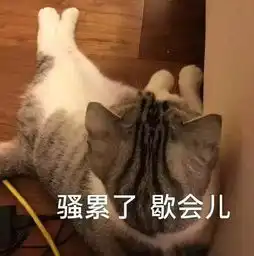 搞笑内涵段子半年不见,老姐我是不是又胖了
