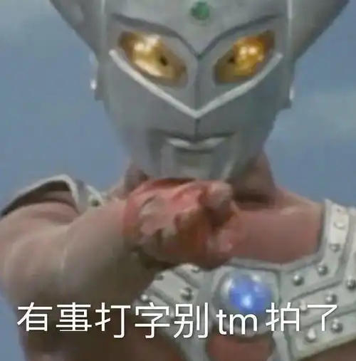 别拍我了