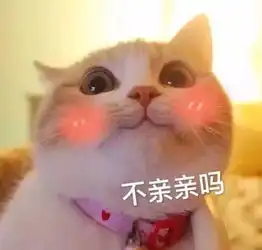 测试自己是哪种动物系女友