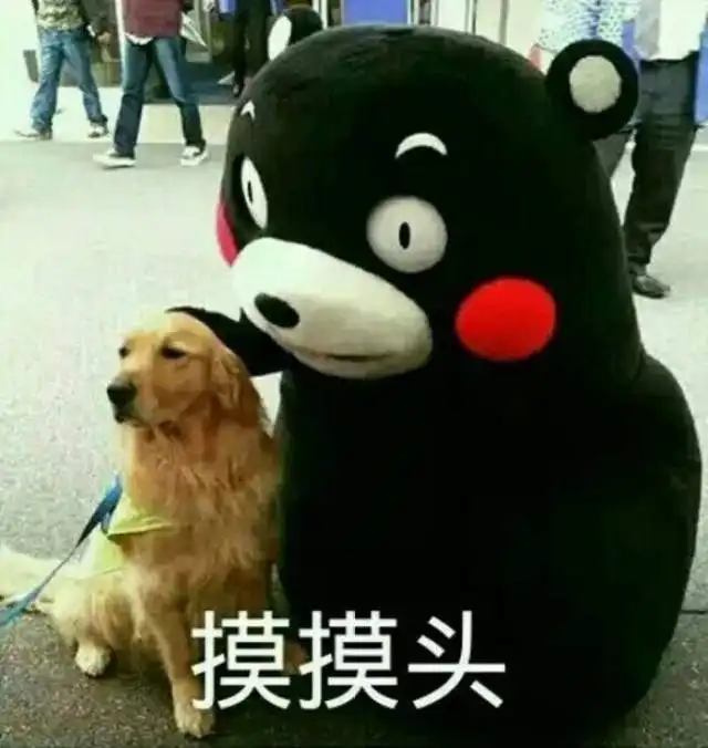 狗年摸狗头,万事不用愁搞笑频道