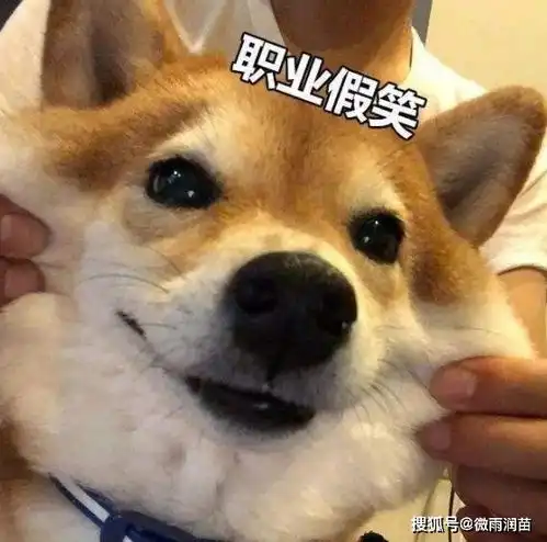 年过五旬的老师,有机会当农村基层中学校长,该如何选择