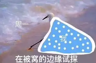 在违法的边缘试探表情包原图无水印52pk下载站
