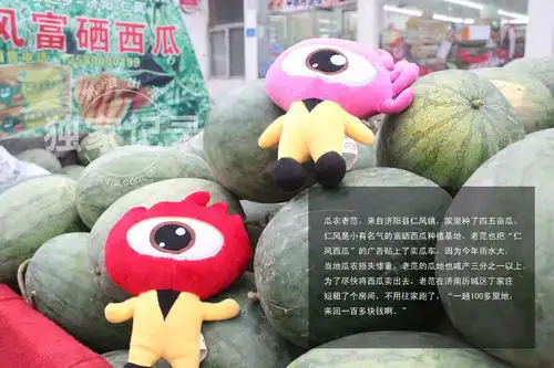 新浪山东探访风雨卖瓜人