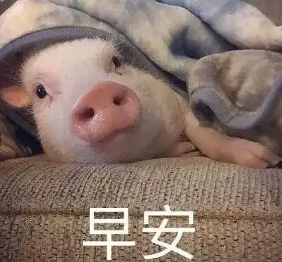 早安表情包合集