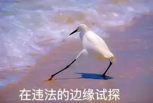 2017年度表情包大赏小猪佩奇,笑着活下去,边缘试探.你最爱