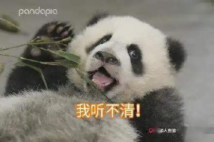 滚滚表情包第四弹表情包届王者,非我莫属
