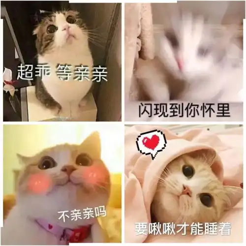 女生发这种表情,男生被撩得无法自拔