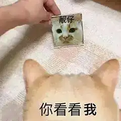 沙雕女孩聊天没有表情包的对话是没有灵魂的