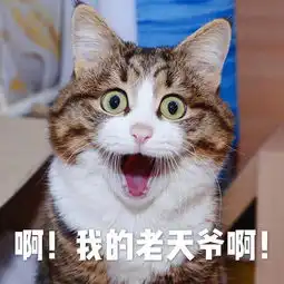 搞笑爱看热闹的中国人,总是被扎堆的人群所吸引