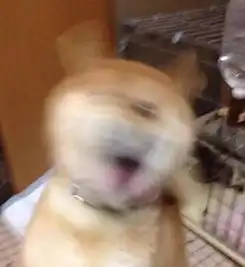 装修公司表情图,哈哈哈哈哈哈哈哈哈哈