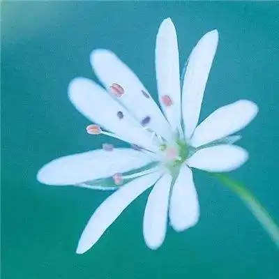 爱游戏在线app