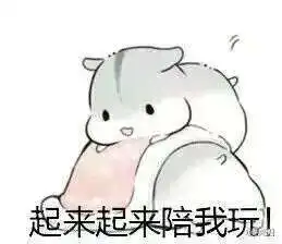抖音小仓鼠高清无水印表情包合集超萌