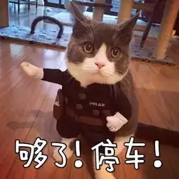 十条段子君生我未生,我生君已老,如今君已婚,嫂子比我小